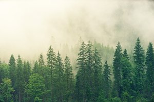 感情碎了怎么挽回